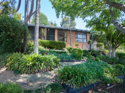 33 David Avenue, EAST MAITLAND NSW 2323