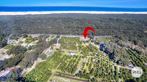 3327 Nelson Bay Rd, BOBS FARM NSW 2316