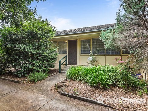 3 34 Dublin Road Ringwood East 3135