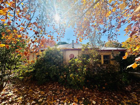 37 Bridge Street, TUMBARUMBA