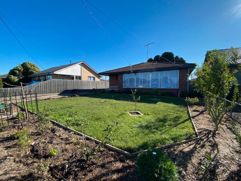 37 Richard Street Newcomb 3219