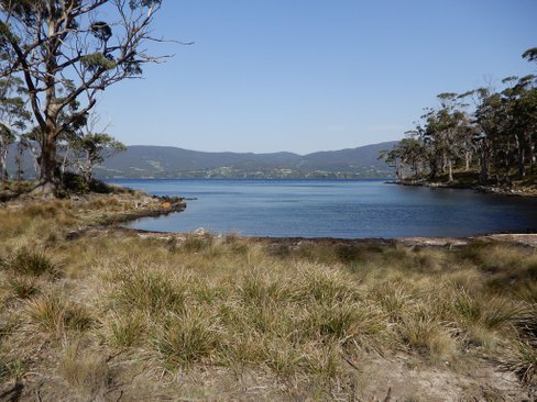 37 Youngs Road, APOLLO BAY TAS 7150