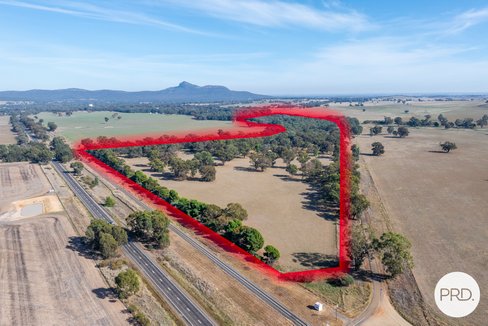 372 Old Trunk Road, THE ROCK NSW 2655