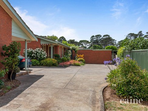 3 75 Longley Street Alfredton 3350