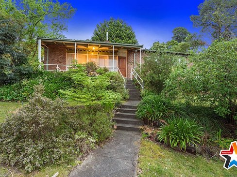 38 Velma Grove Ringwood East 3135
