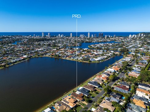 43 Wedgebill Parade, Burleigh Waters QLD 4220