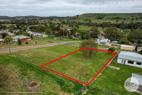 44 Learmonth Street, WILLOW TREE