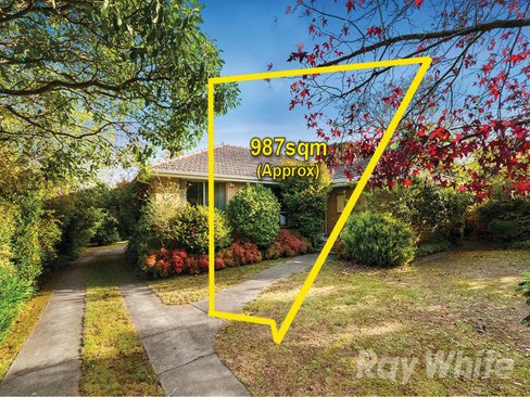 45 Myers Avenue Glen Waverley 3150