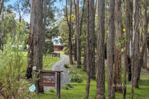 45 Whitegum Drive Wheatsheaf 3461