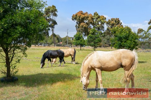 458 Moonlight Road, BERRINGA VIC 3351