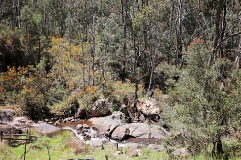 47 Fox Lane, TUMBARUMBA NSW 2653