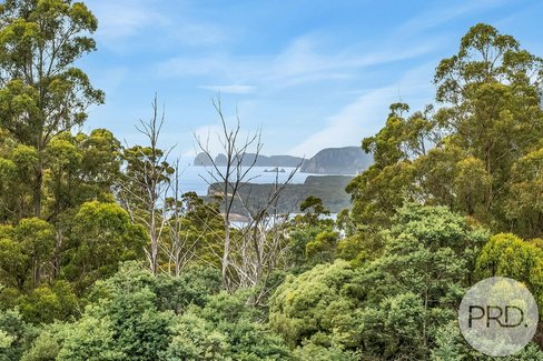 4796 Arthur Highway, EAGLEHAWK NECK TAS 7179