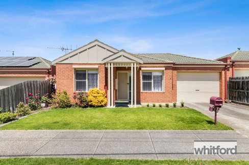 5 Drysdale Avenue, Hamlyn Heights
