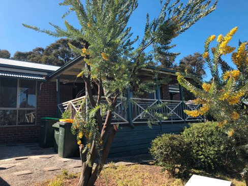 52 Oakbank Drive, MOUNT HELEN VIC 3350