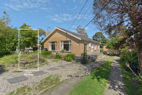 53 Muir Street Mount Waverley 3149