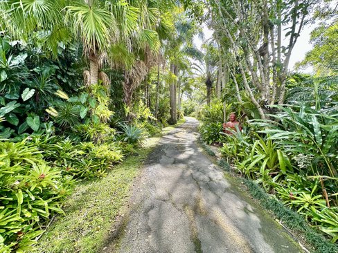 53 Westminster Boulevard, Elanora QLD 4221