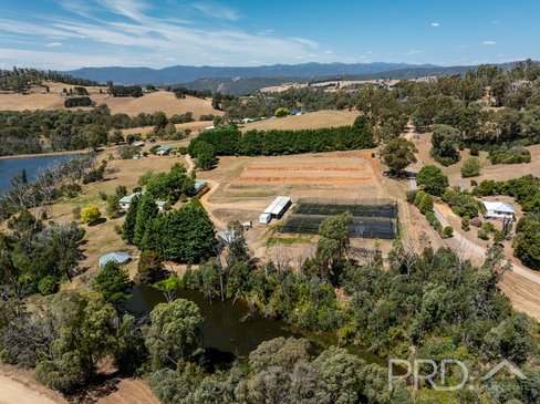 56 Mines Road, BATLOW NSW 2730