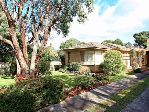 6 Buxton Road Mitcham 3132