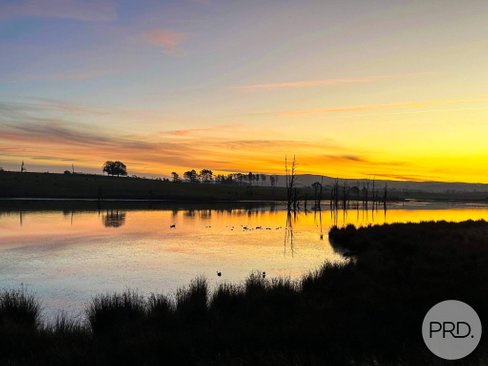 621 Mannus Lake Road, TUMBARUMBA NSW 2653