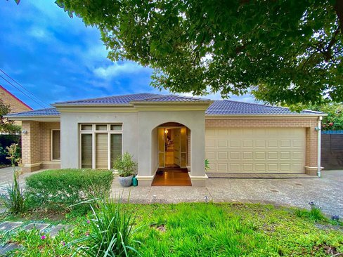 65 Alice Street Mount Waverley 3149