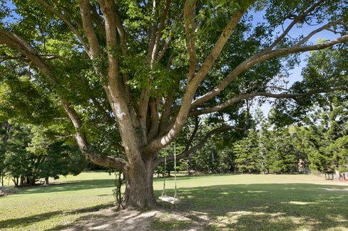 664 Currumbin Creek Road, Currumbin Valley QLD 4223