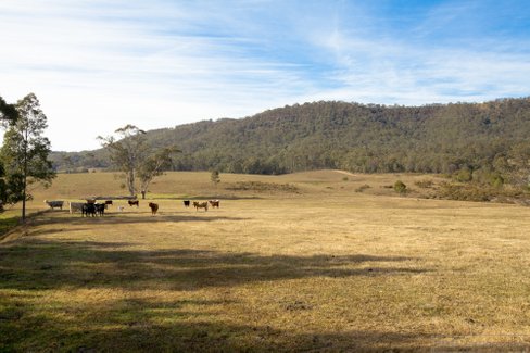 722 Lambs Valley rd, LAMBS VALLEY NSW 2335