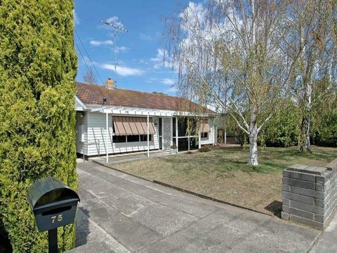 75 Buckingham Road Newtown 3220