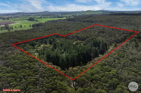 75 Stringybark Track, MOLLONGGHIP