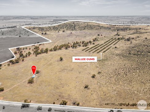 77 Wilsons Road, BUCKRABANYULE VIC 3525