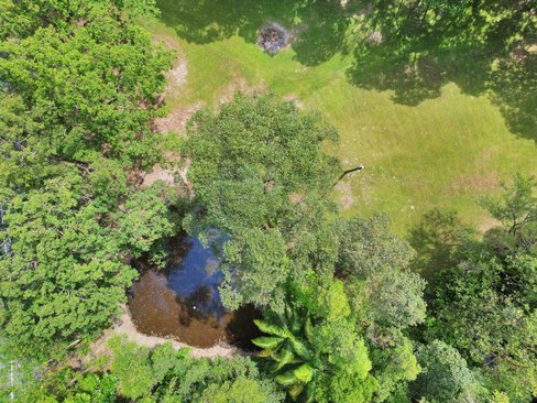786 Tallebudgera Creek Road, Tallebudgera Valley