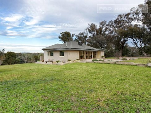 793 Livingstone Gully Road, BIG SPRINGS NSW 2650