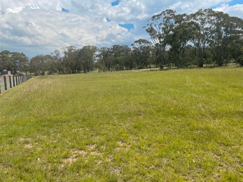 8 Honeyeater Close, DENMAN NSW 2328