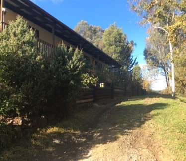 8 Lyne St, TUMBARUMBA NSW 2653