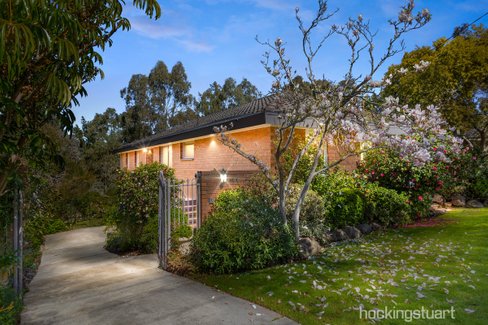 8 Morton Street Box Hill South 3128