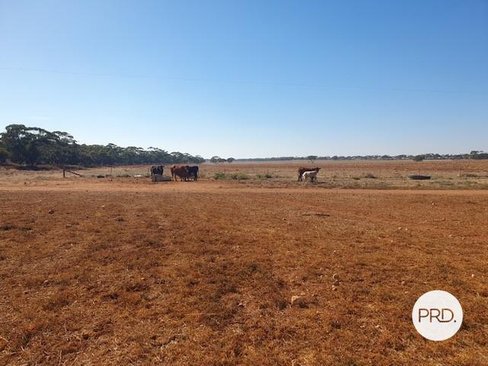 8479 Millewa Road, MERINGUR VIC 3496