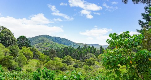 85 Bowden Close, Tallebudgera QLD 4228