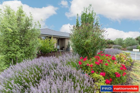 9 Falconer Place, BUNGENDORE NSW 2621