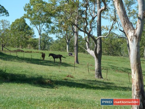 901 Afterlee Road, KYOGLE NSW 2474