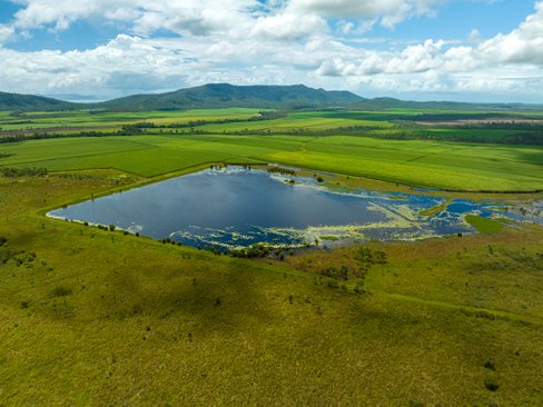 9548 Bruce Highway, BLOOMSBURY QLD 4799