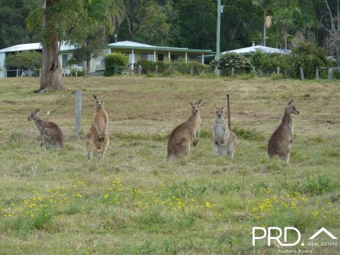 97 Woods Road, DOBIES BIGHT NSW 2470