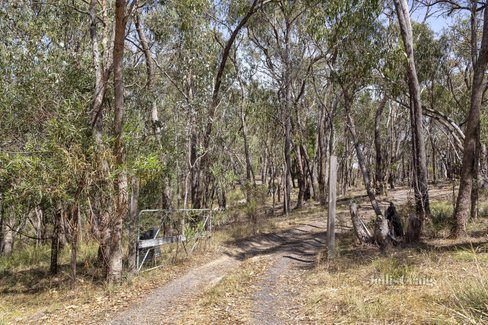 970 Buttermans Track Christmas Hills 3775