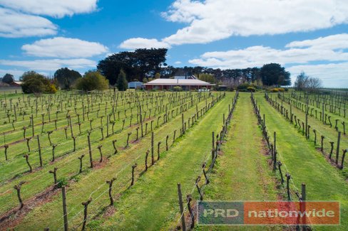 970 Coghills Creek Road, COGHILLS CREEK VIC 3364