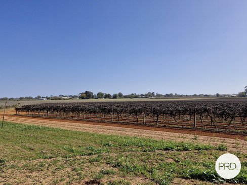 C.A 135 Cowanna Avenue South, MERBEIN SOUTH