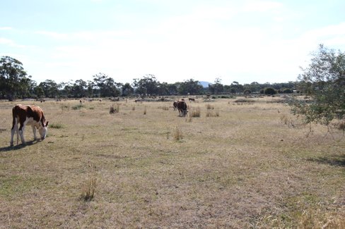 CA 24 Eaglesons Road, LAL LAL VIC 3352