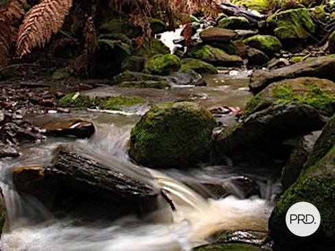 Lot 1 Back River Road, MAGRA TAS 7140