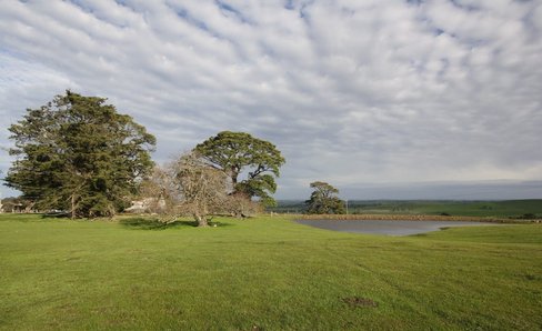 Lot 10 Linton-Naringhil Road, LINTON VIC 3360