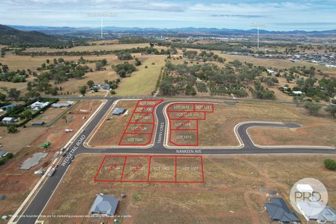 Lot 1009 9 Tawny Crescent, TAMWORTH NSW 2340