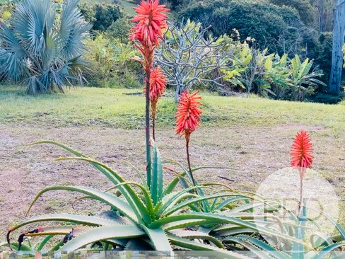 Lot 1071 East West Road, VALLA NSW 2448