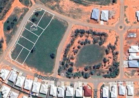 Lot 1254 Pandanus Road, DJUGUN WA 6725