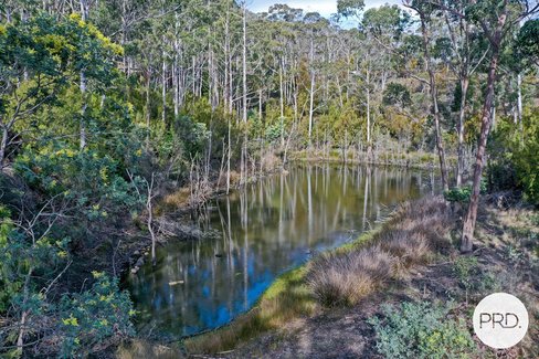Lot 2 730 Molesworth Road, MOLESWORTH TAS 7140